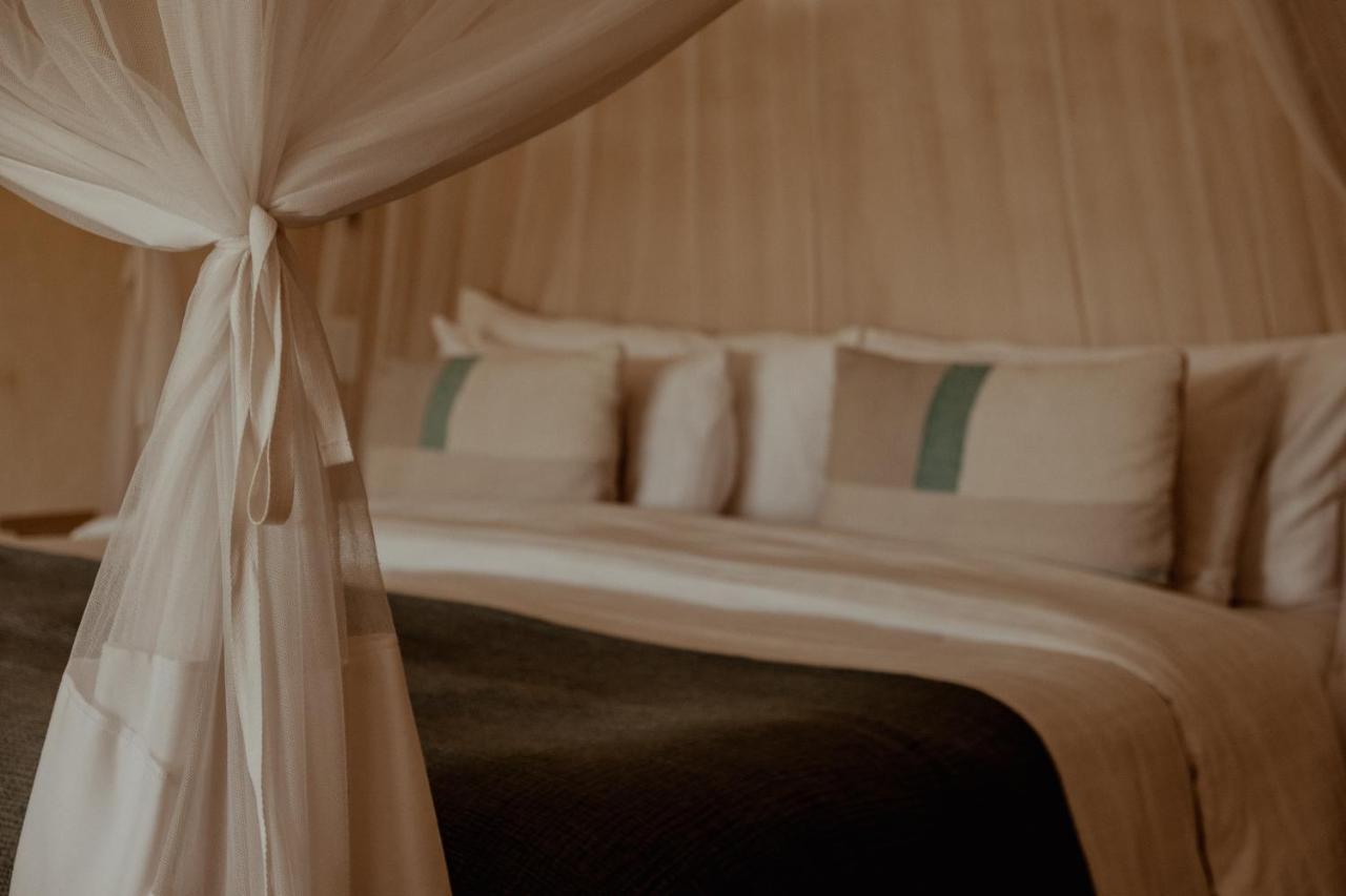 The Bean Tree Hotel McGregor Eksteriør billede